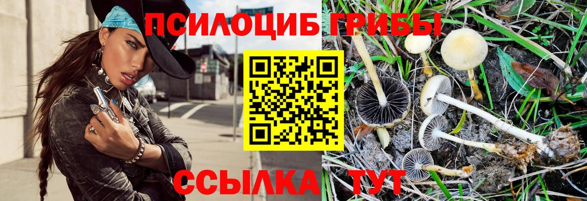 наркота  Галлюциногенные грибы GOLDEN TEACHER  Вход с VPN  Псилоцибиновые грибы GOLDEN TEACHER  Гай 
