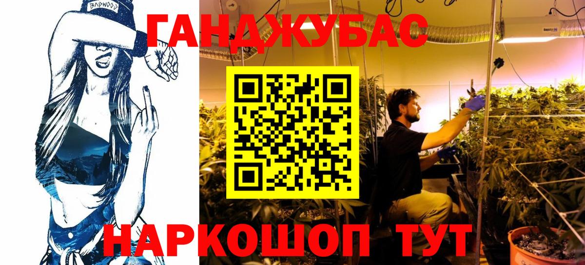 Канабис Amnesia  Бошки марихуана планчик  Бошки Шишки план  Гай  Вход с VPN 